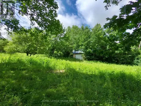 110 Cow Island Otonabee-south Monaghan ON K0K 1B0