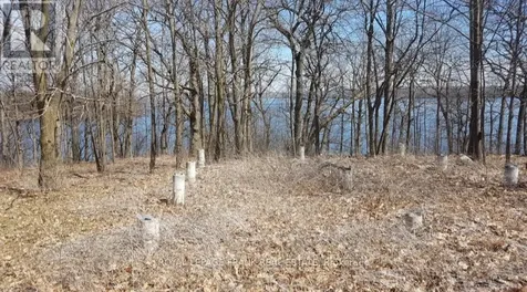 110 Cow Island Otonabee-south Monaghan ON K0K 1B0