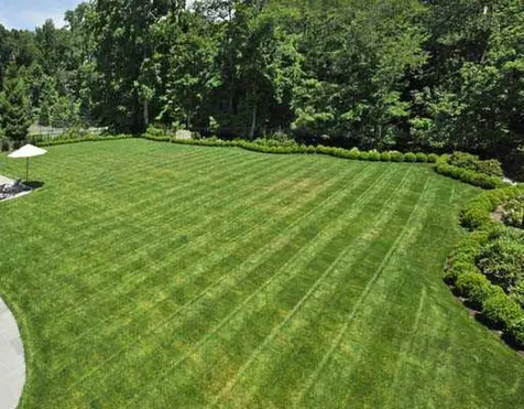Greenwich CT 06830