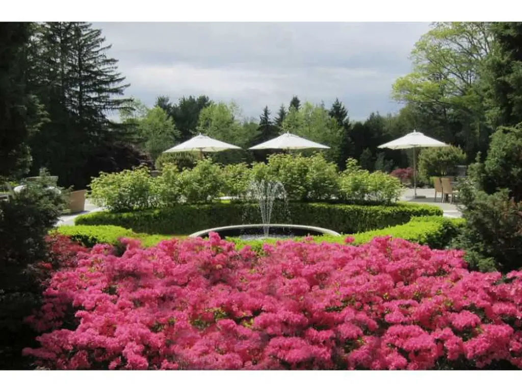Greenwich CT 06830