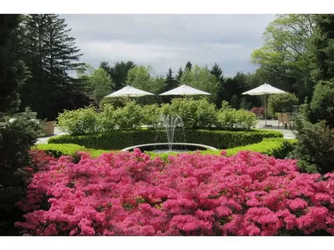 Greenwich CT 06830