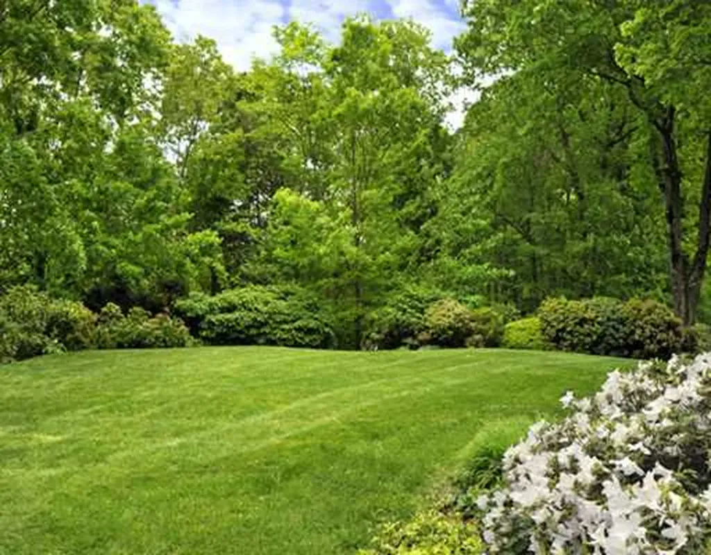 45 Midwood Road Greenwich CT 06830