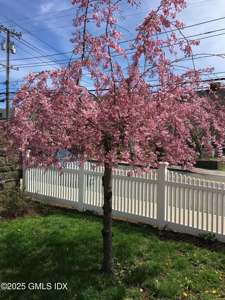 188 Hamilton Avenue Greenwich CT 06830