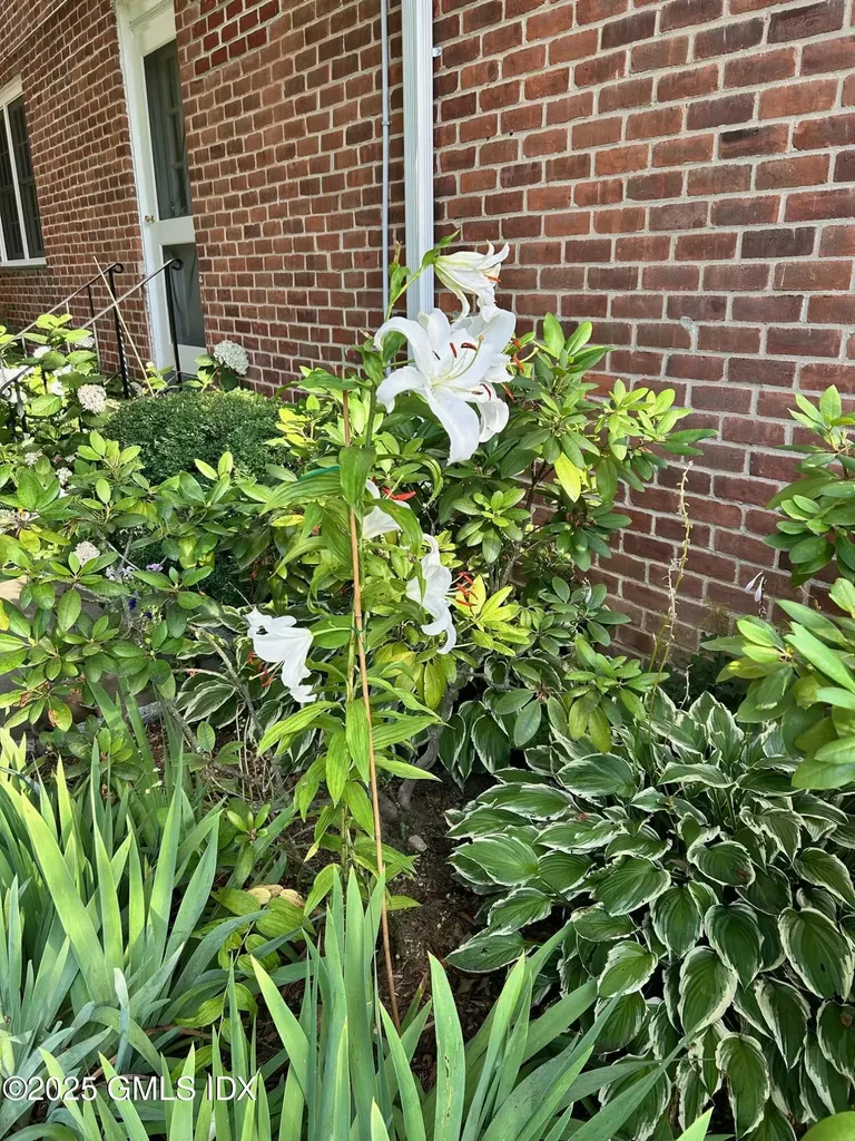 141 Putnam Park Greenwich CT 06830