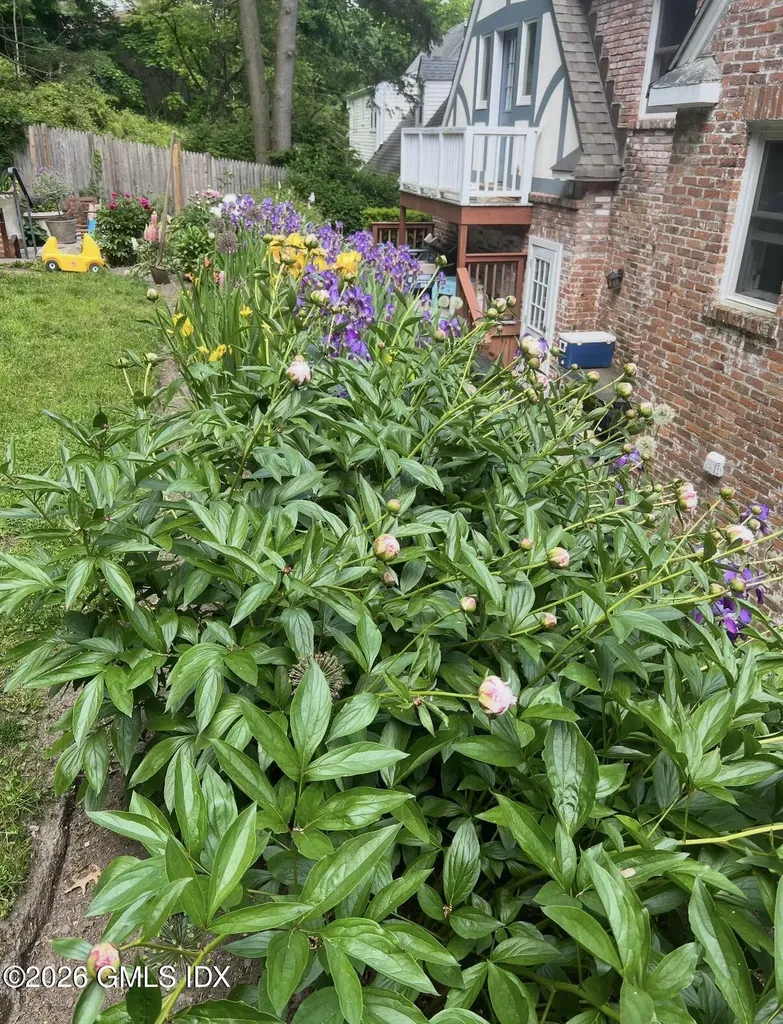 5 Halliwell Drive Stamford CT 06902