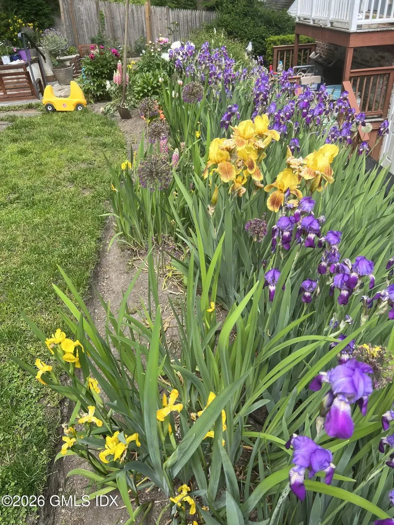 5 Halliwell Drive Stamford CT 06902