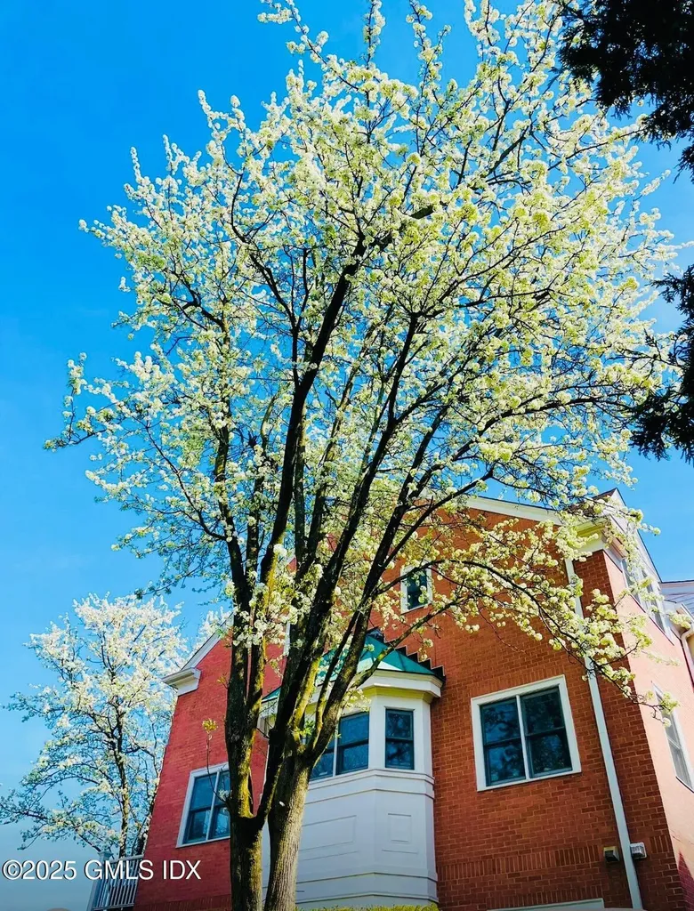 51 Forest Avenue Old Greenwich CT 06870