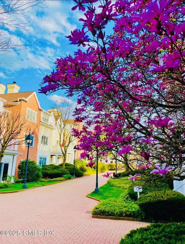 51 Forest Avenue Old Greenwich CT 06870