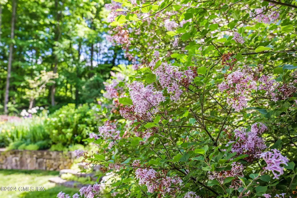 295 Riversville Road Greenwich CT 06831