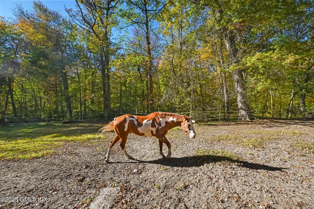 38 Bedford Road Greenwich CT 06831