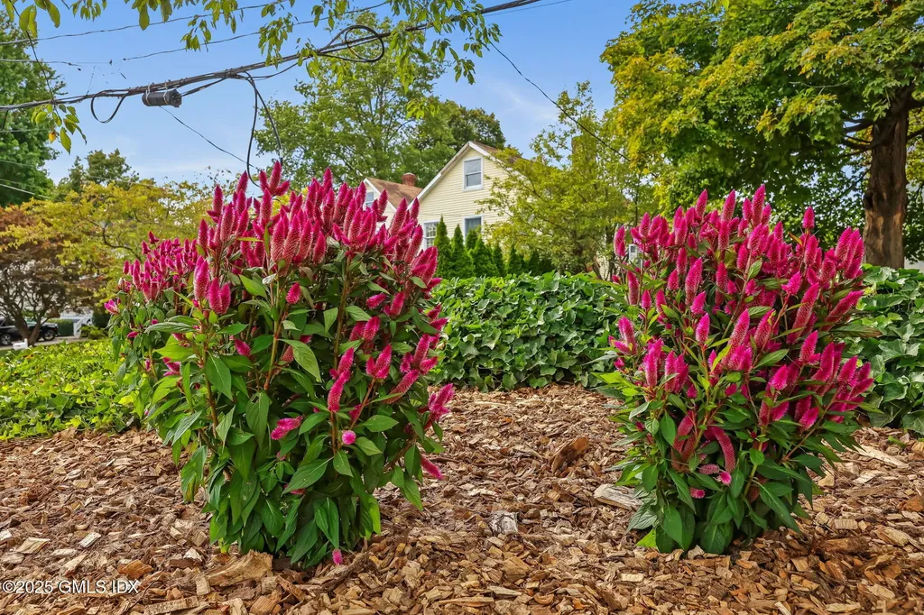 8 Reynolds Place Greenwich CT 06831