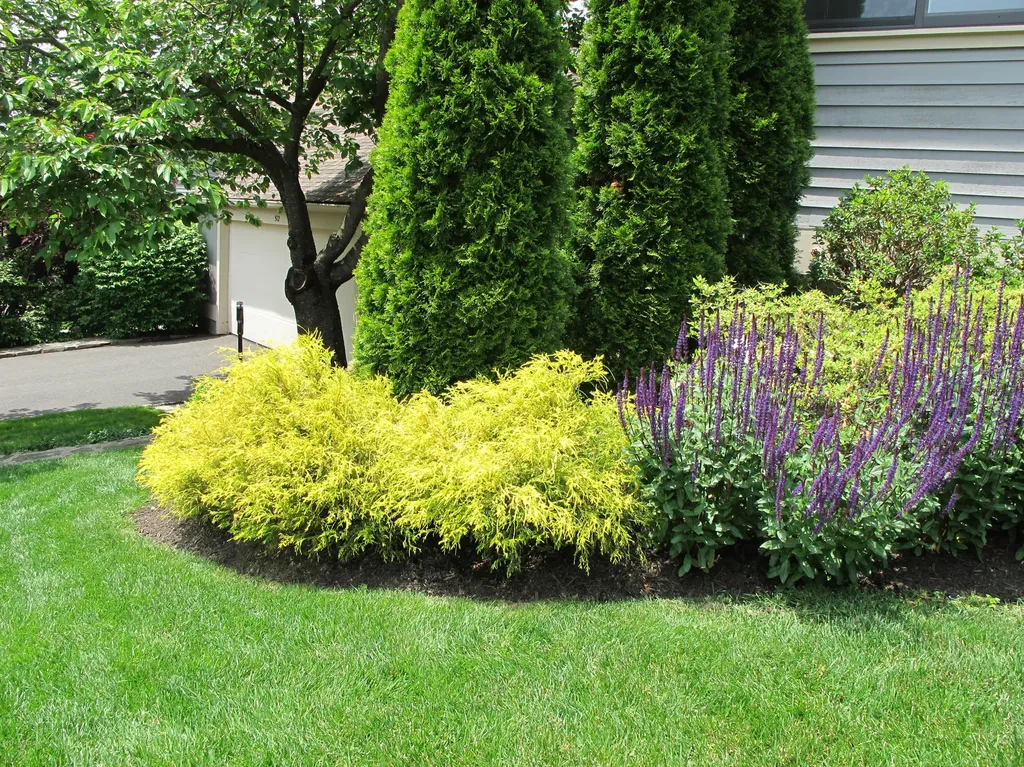 512 W Lyon Farm Drive Greenwich CT 06831