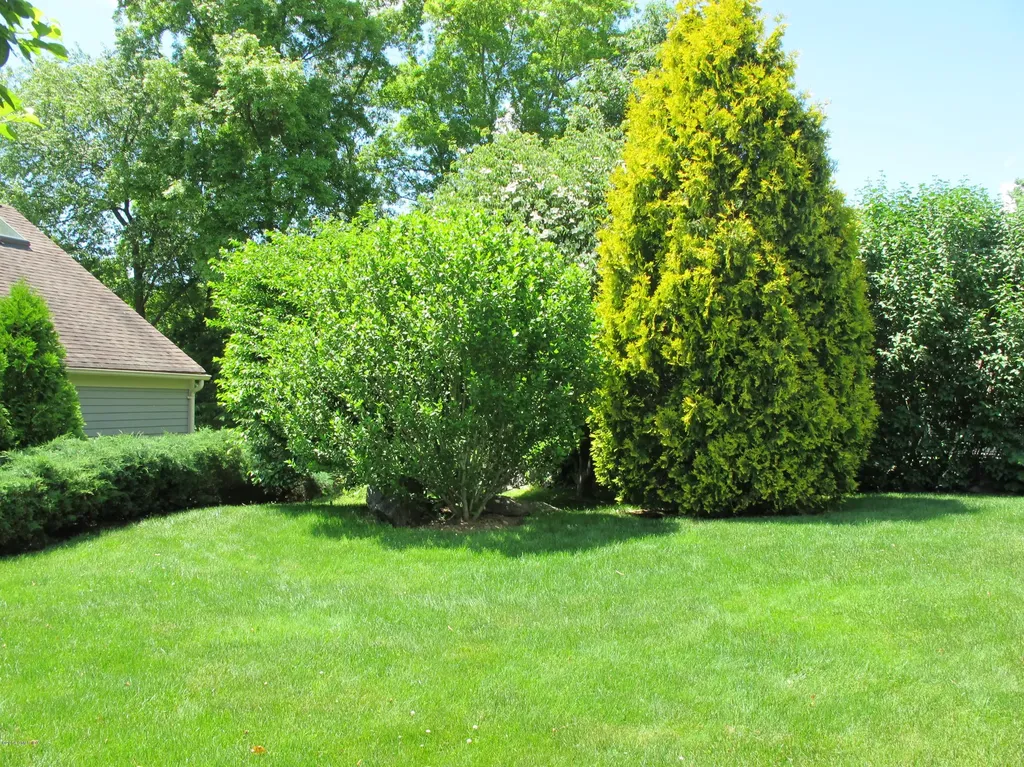 512 W Lyon Farm Drive Greenwich CT 06831
