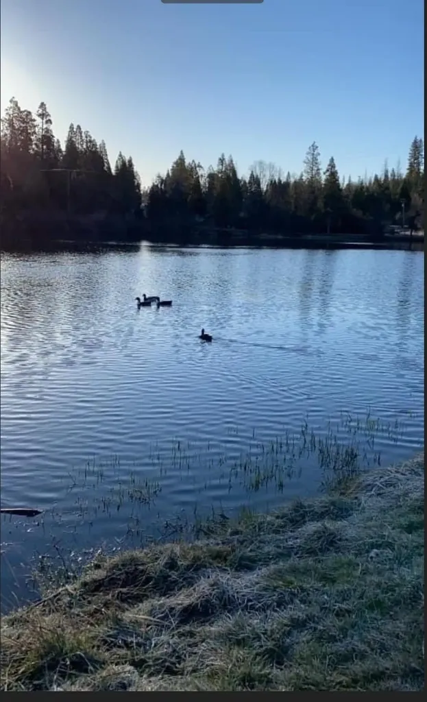 41823 Corlew Lane Auberry CA 93602