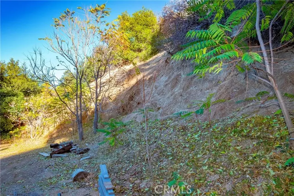 39100 Calle Essencial Green Valley CA 91390