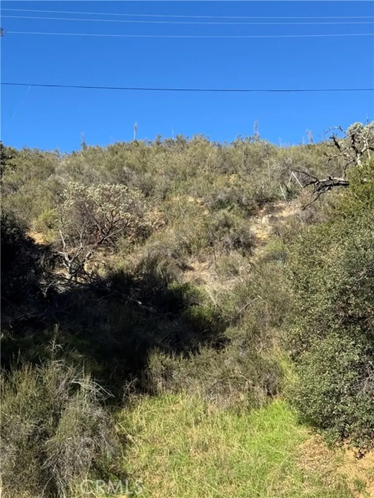 0 Vac/san Francisquito Canyon Green Valley CA 91350