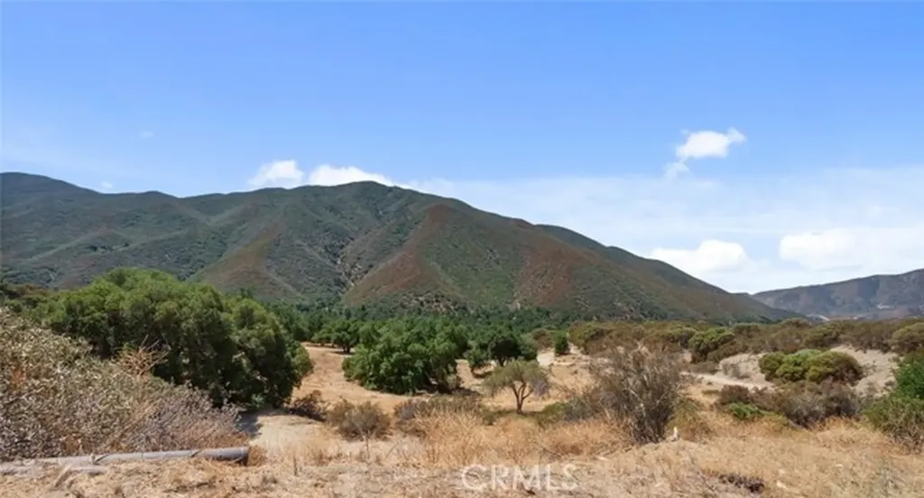 39813 Calle Carona Green Valley CA 91390