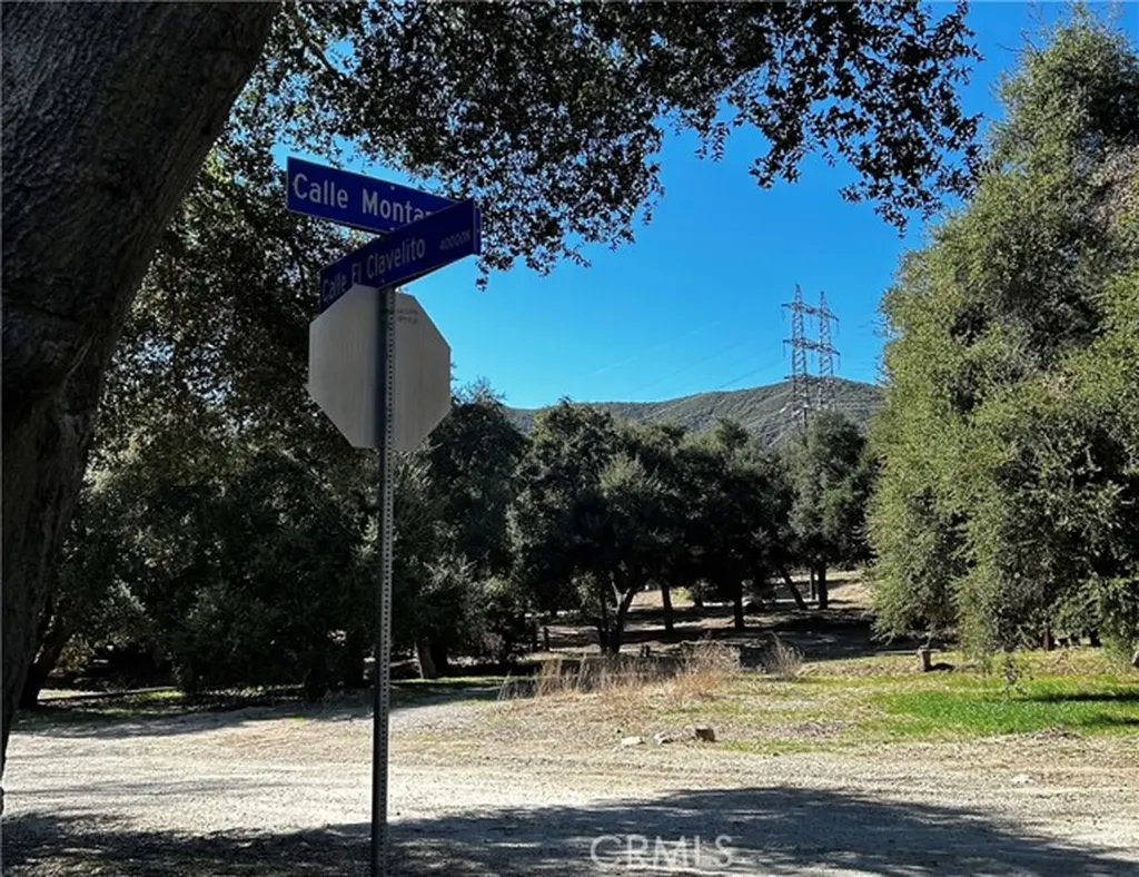 0 Calle El Clavelito/3227016011 Green Valley CA 91390
