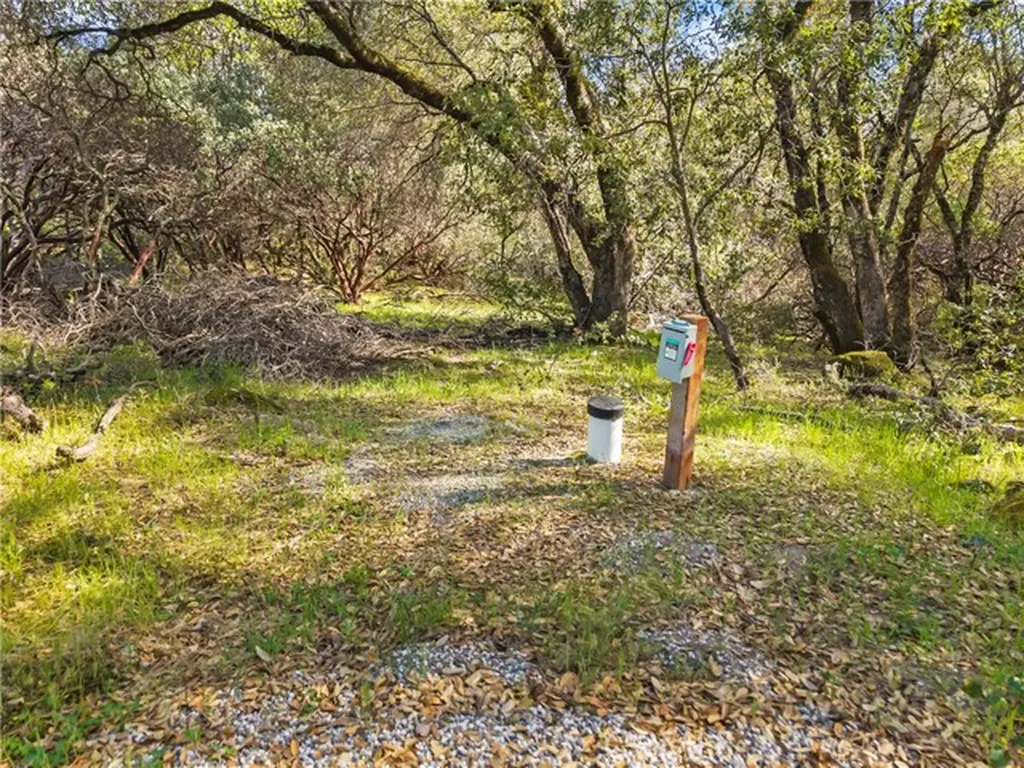1371 Moccasin Trail Placerville CA 95667