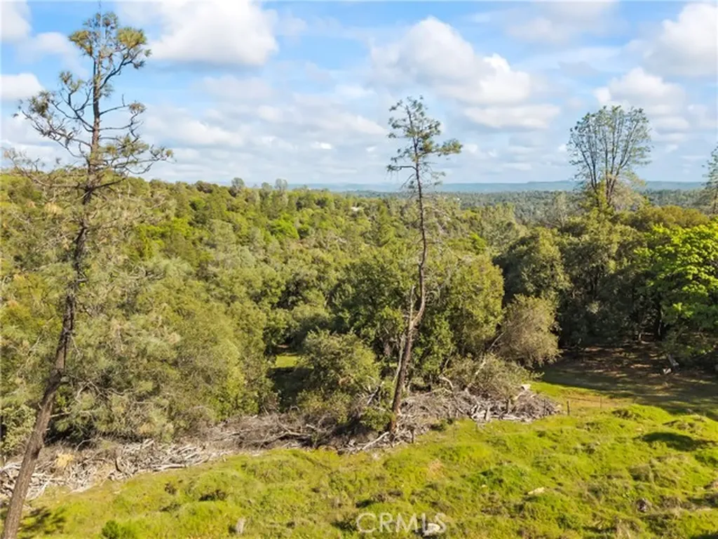 1371 Moccasin Trail Placerville CA 95667