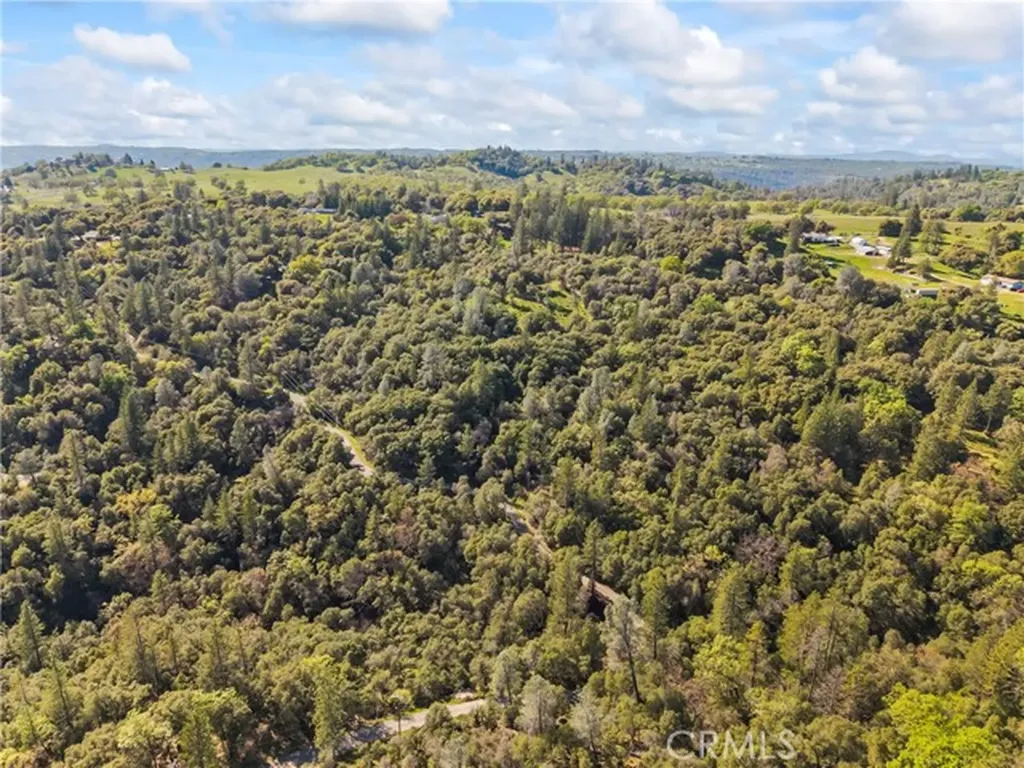 1371 Moccasin Trail Placerville CA 95667