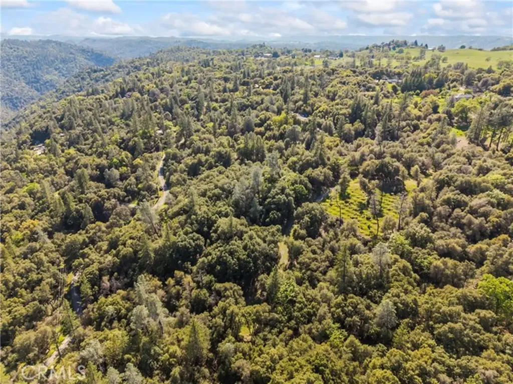 1371 Moccasin Trail Placerville CA 95667