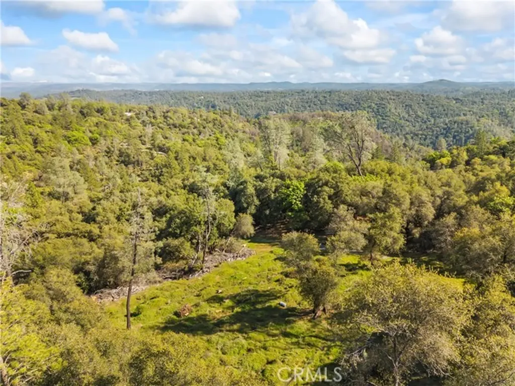 1371 Moccasin Trail Placerville CA 95667
