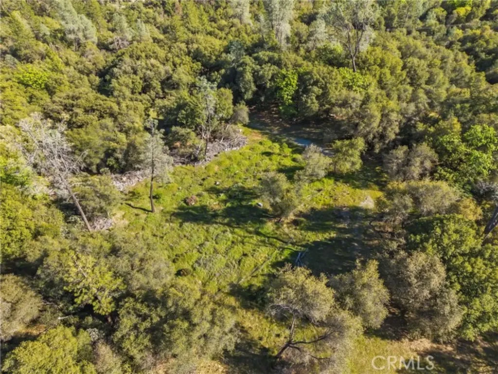1371 Moccasin Trail Placerville CA 95667