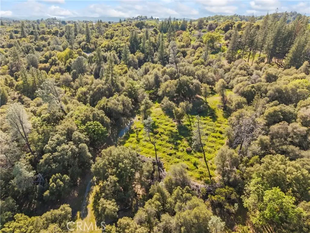 1371 Moccasin Trail Placerville CA 95667