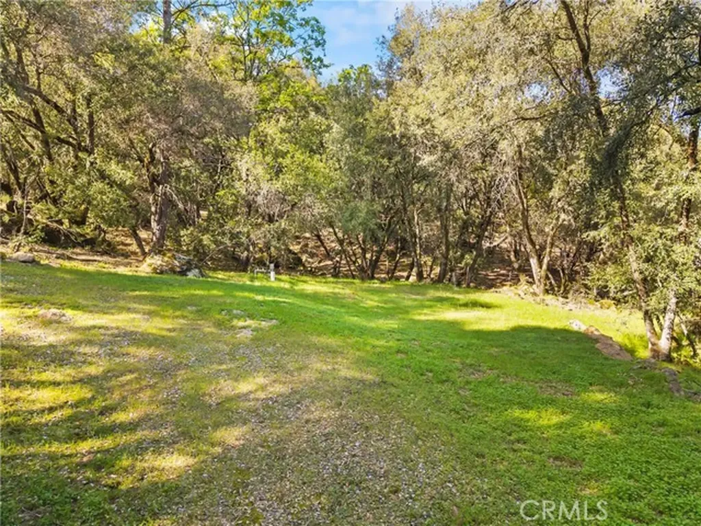1371 Moccasin Trail Placerville CA 95667