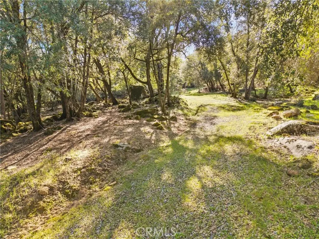 1371 Moccasin Trail Placerville CA 95667