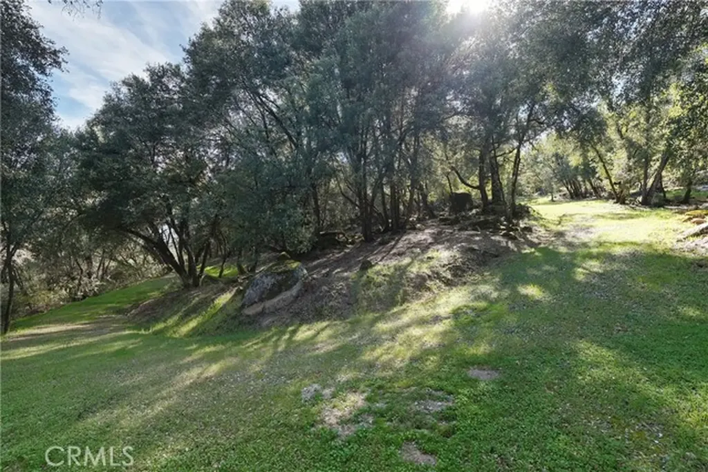 1371 Moccasin Trail Placerville CA 95667