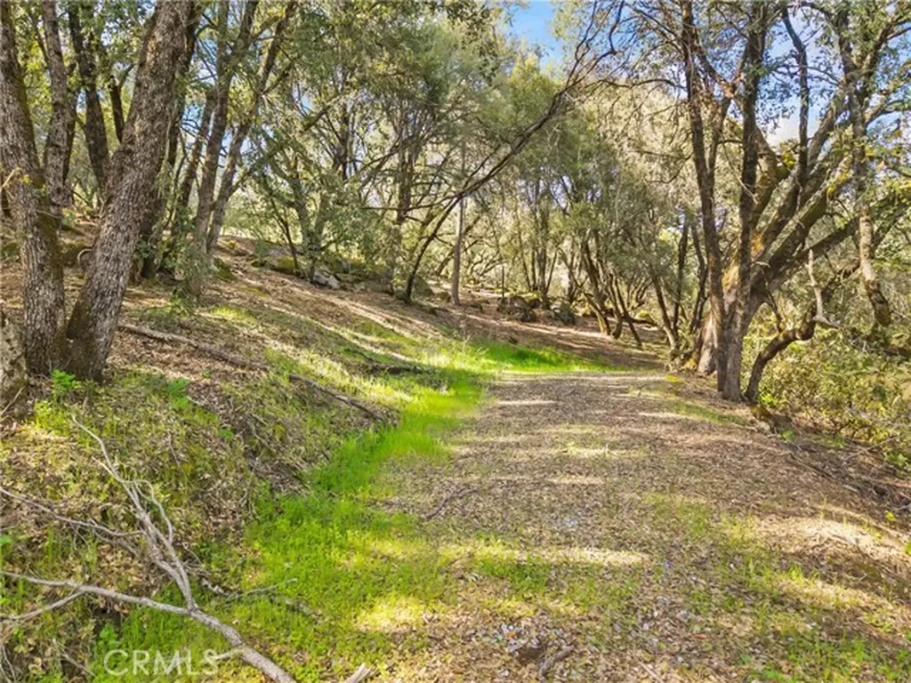 1371 Moccasin Trail Placerville CA 95667
