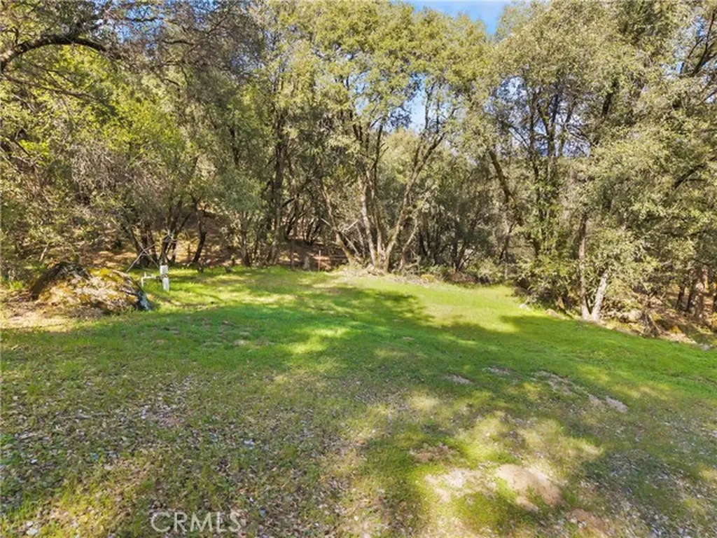 1371 Moccasin Trail Placerville CA 95667