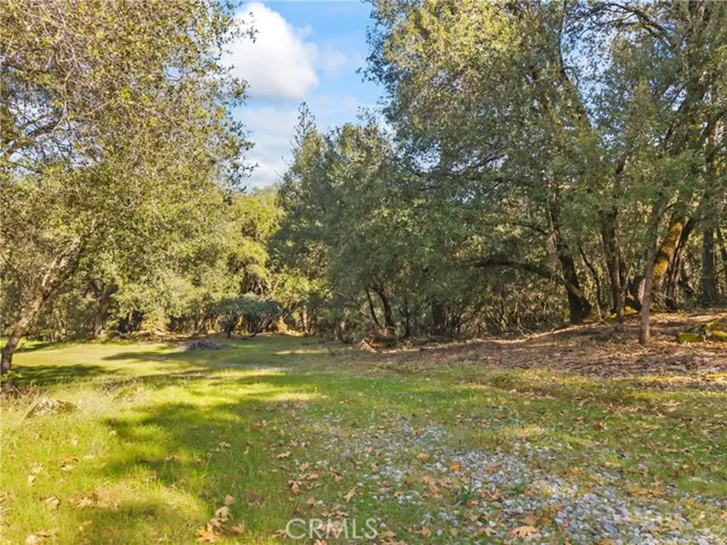 1371 Moccasin Trail Placerville CA 95667