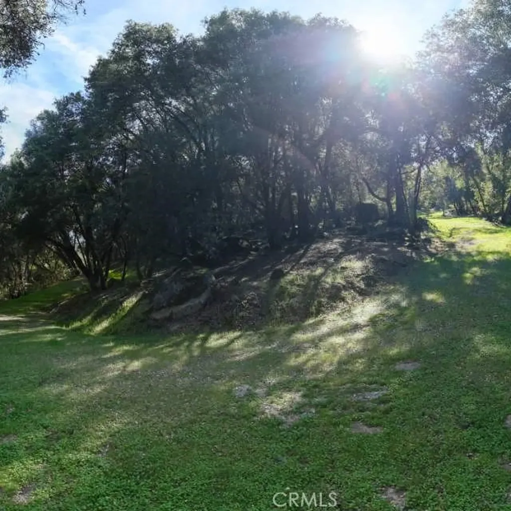 1371 Moccasin Trail Placerville CA 95667