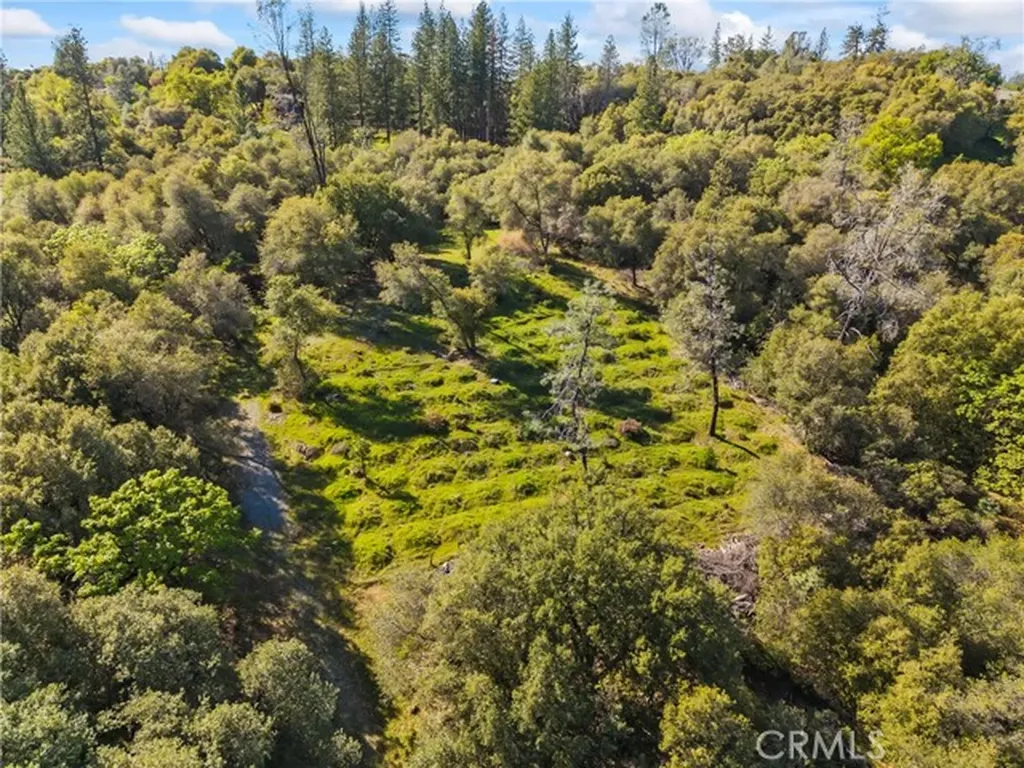 1371 Moccasin Trail Placerville CA 95667