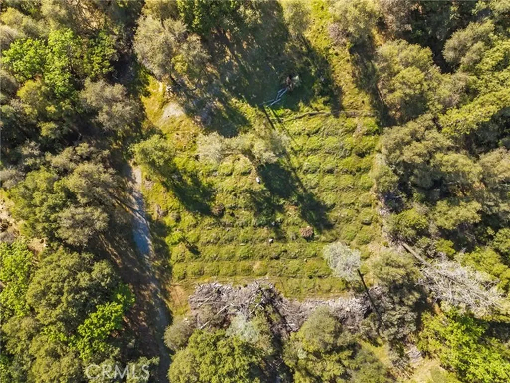 1371 Moccasin Trail Placerville CA 95667
