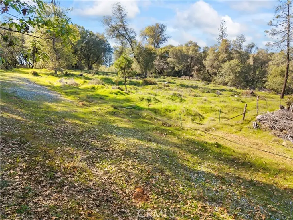 1371 Moccasin Trail Placerville CA 95667