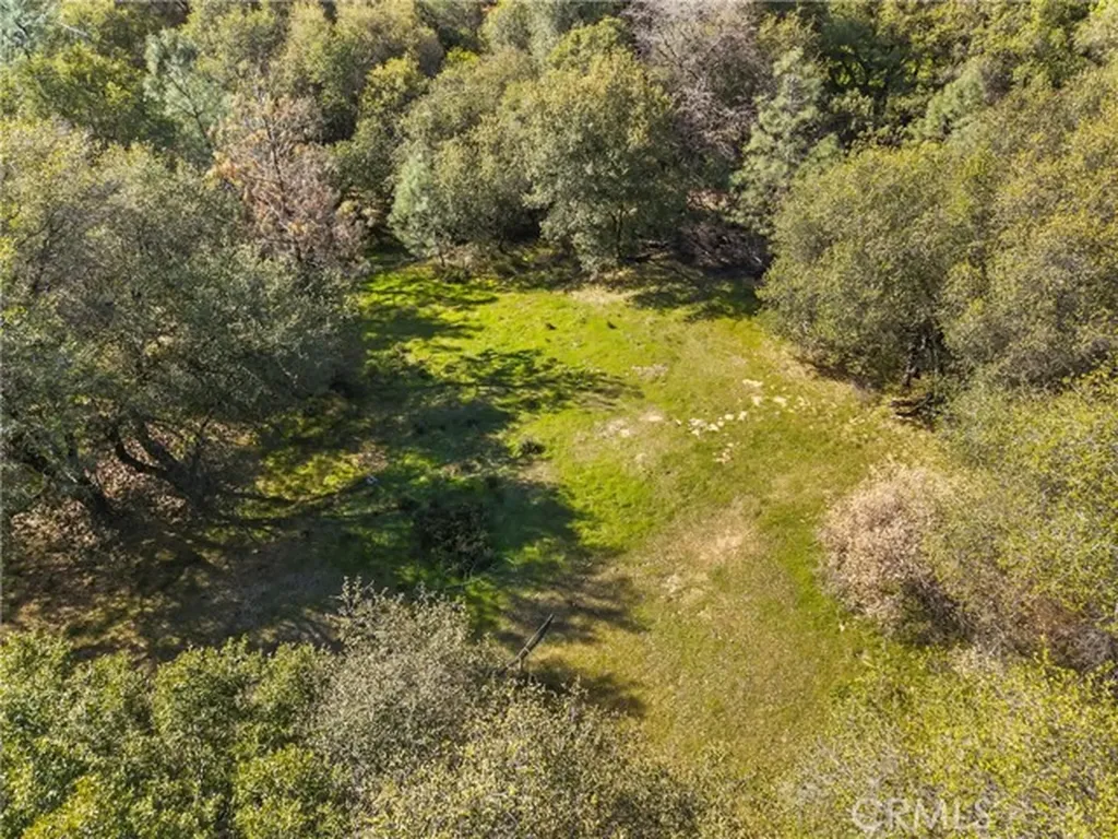 1371 Moccasin Trail Placerville CA 95667