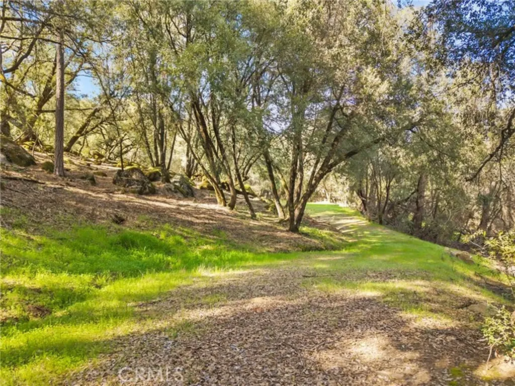 1371 Moccasin Trail Placerville CA 95667