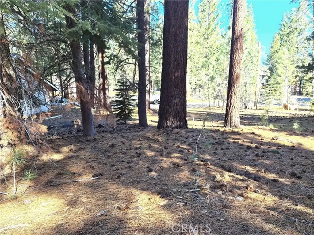 1662 Maiden Hair Court South Lake Tahoe CA 96150