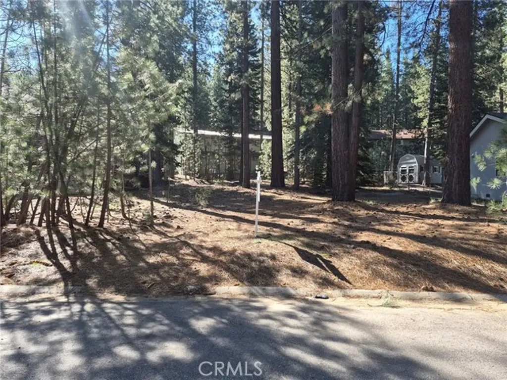 1662 Maiden Hair Court South Lake Tahoe CA 96150