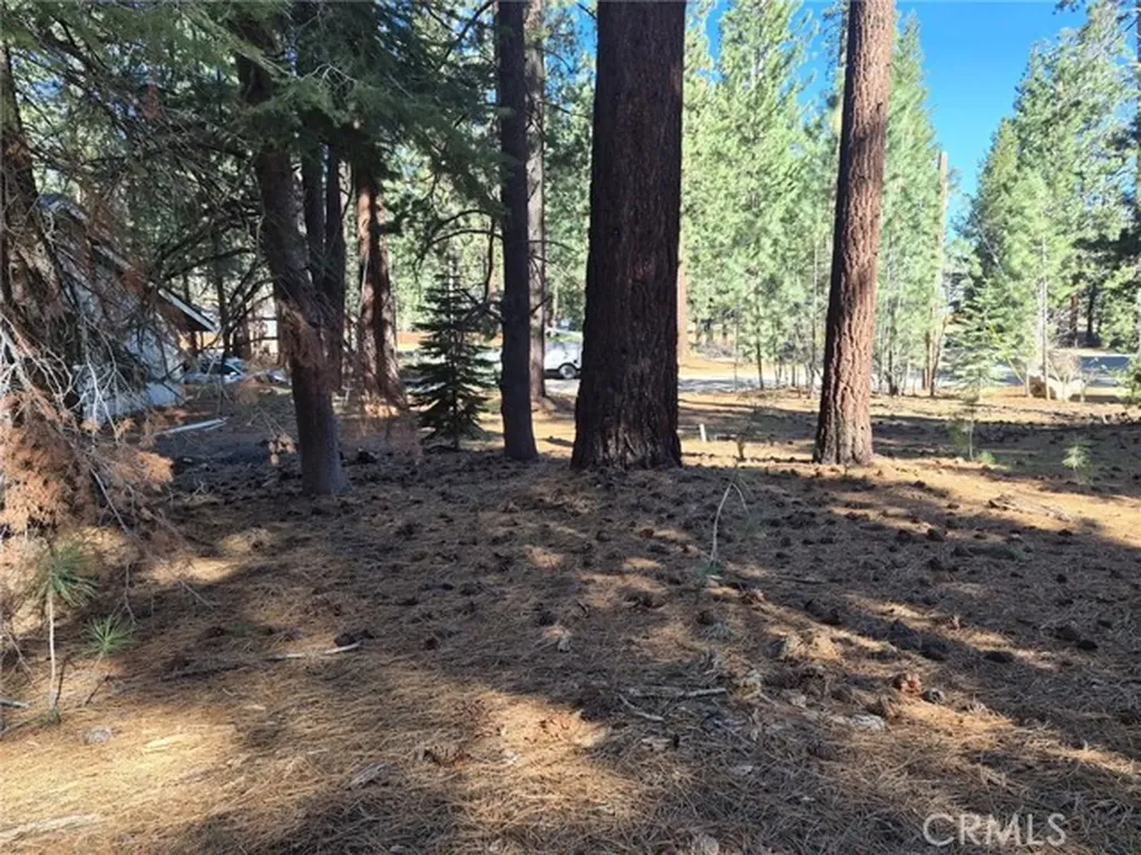 1662 Maiden Hair Court South Lake Tahoe CA 96150