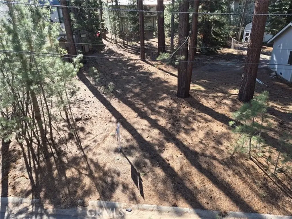 1662 Maiden Hair Court South Lake Tahoe CA 96150