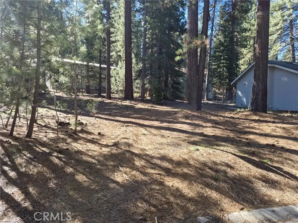 1662 Maiden Hair Court South Lake Tahoe CA 96150