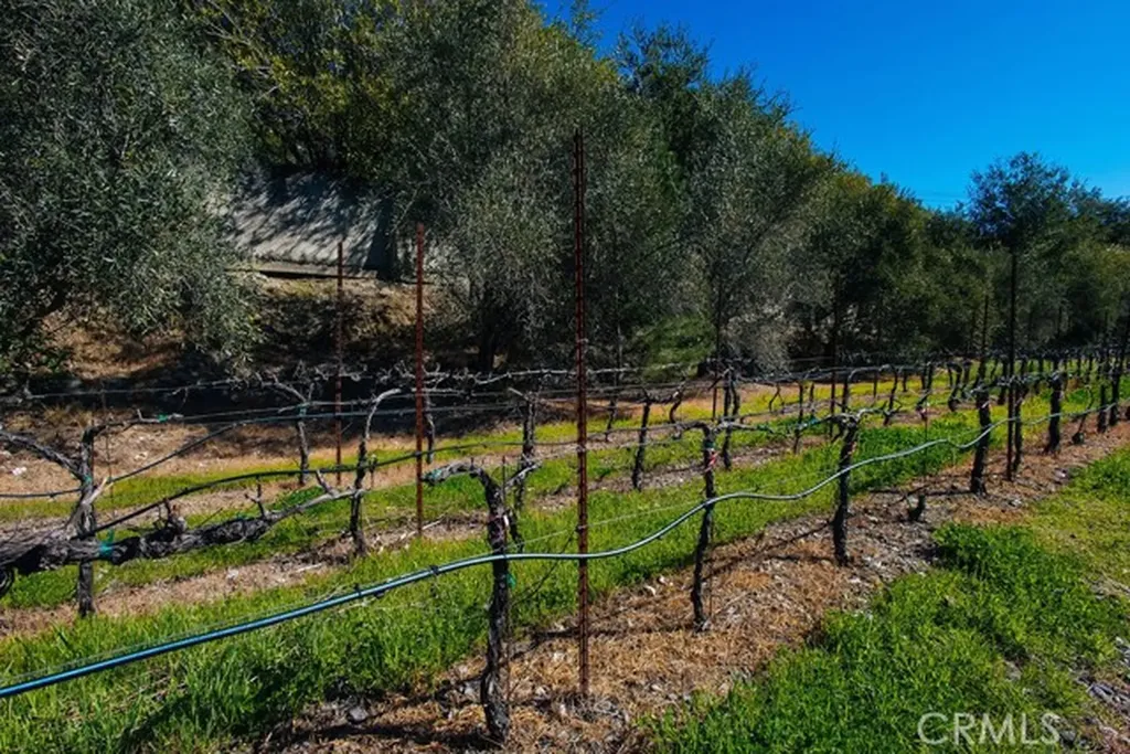 1001 Silverado Trail South St. Helena CA 94574