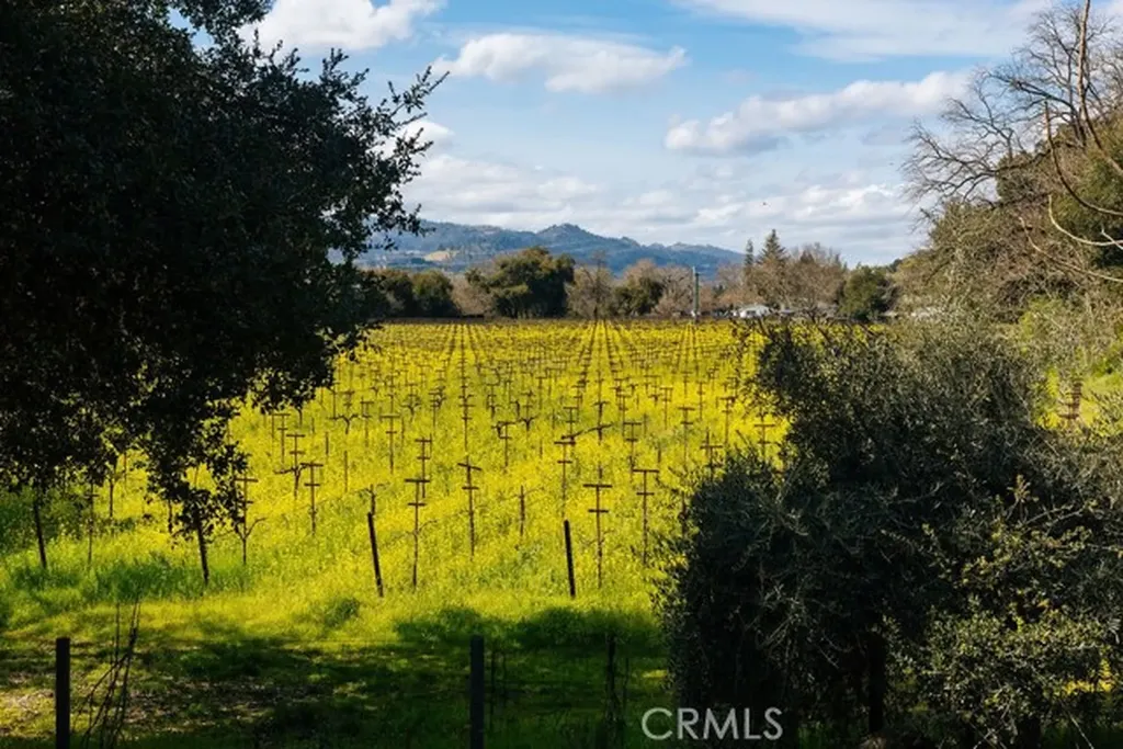 1001 Silverado Trail South St. Helena CA 94574
