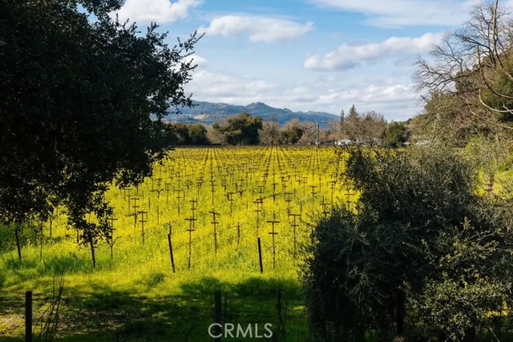 1001 Silverado Trail South St. Helena CA 94574