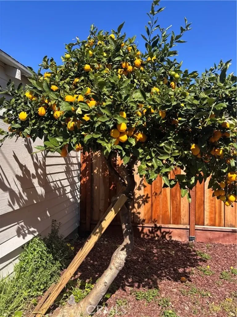 5440 Wadean Place Oakland CA 94601